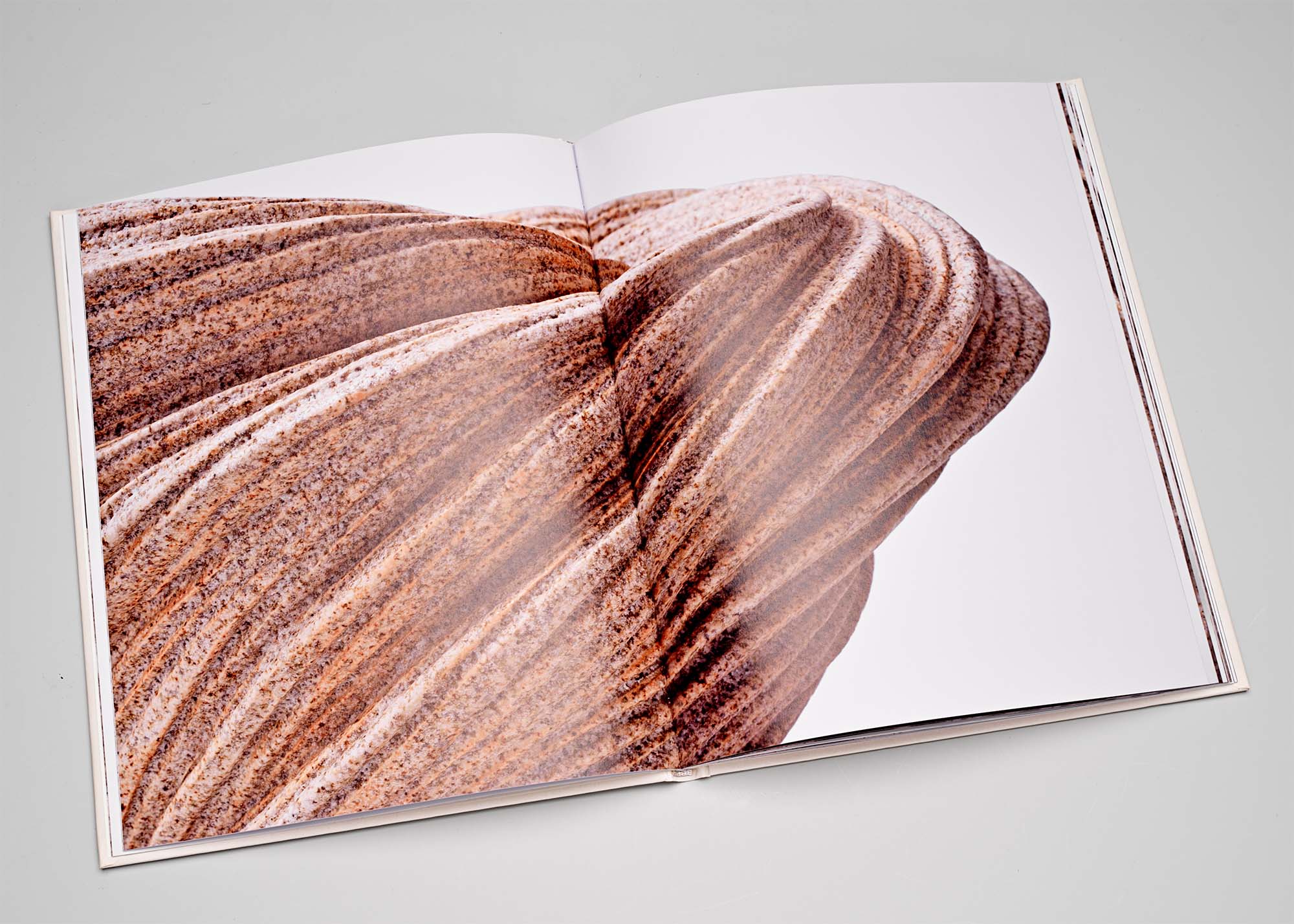 Takayuki Sakyama 崎山 隆之 book Pierre Marie Giraud Ceramics Japan